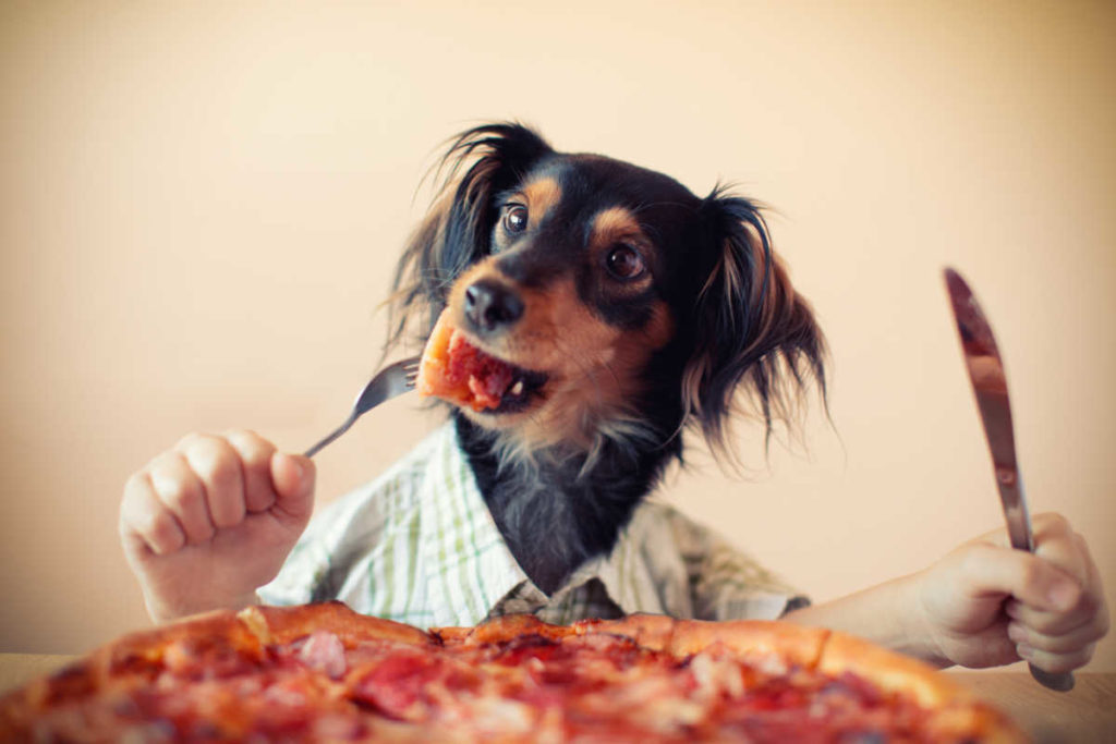 Dog Friendly Restaurant on the Outer Banks